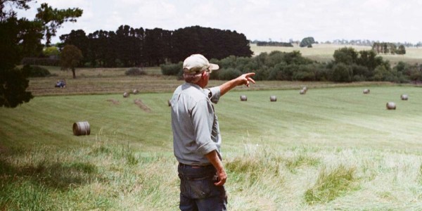 contributi caduti in prescrizione braccianti agricoli